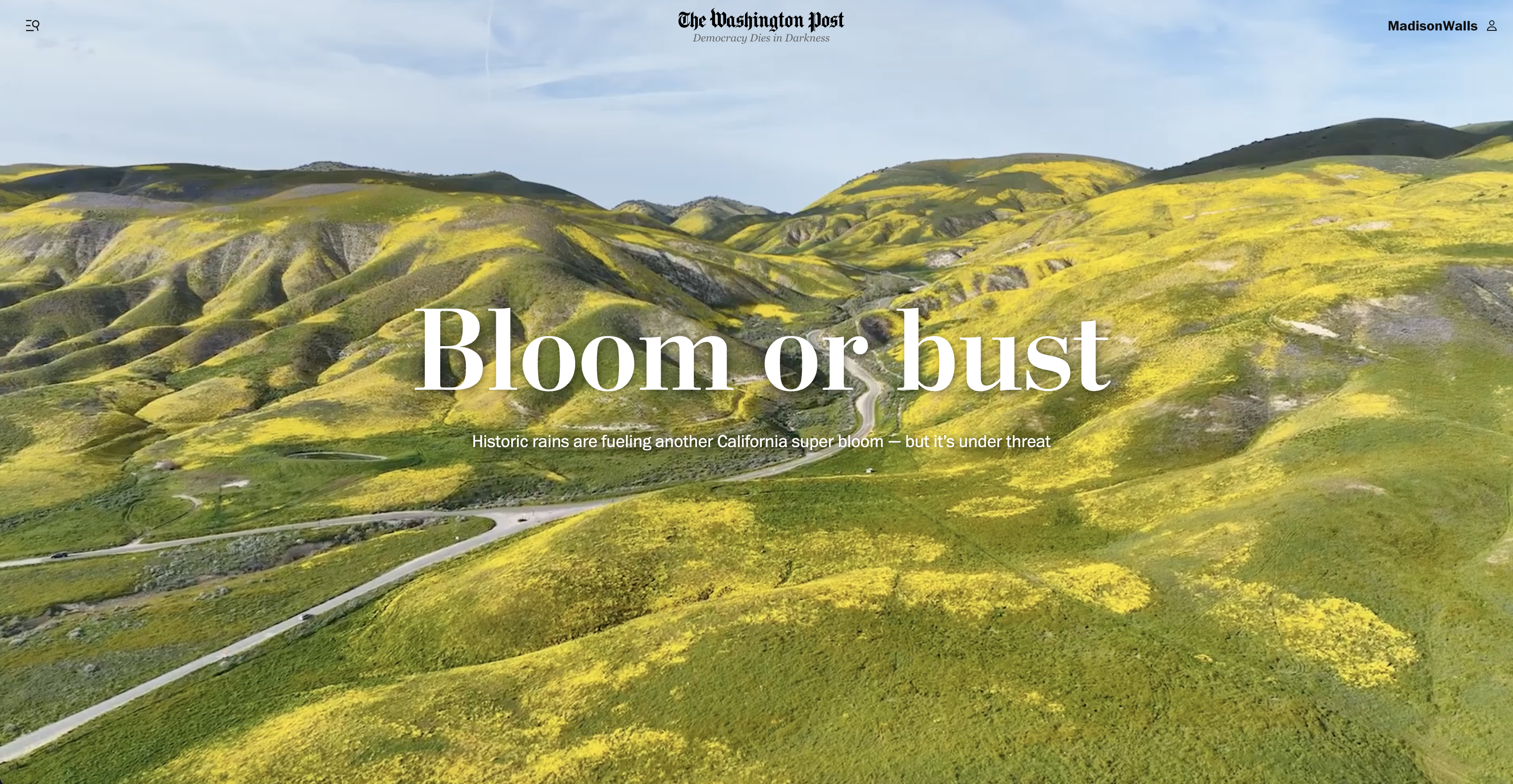 Screenshot 2026-03-31 at 1.44.37 PM